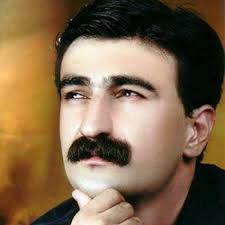 حمید حمیدی سفر